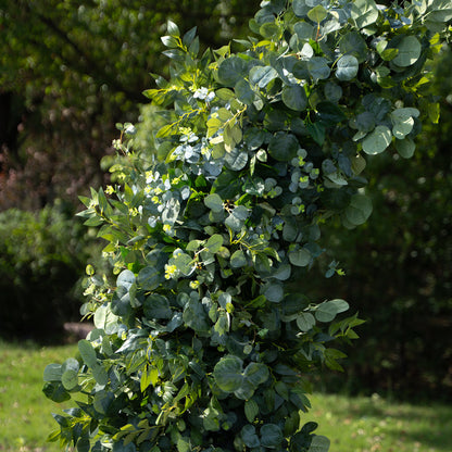 Sprout：Wedding Party Background Floral Arch Decoration (Including Frame) + 2 Silk flower ground runners  Including Frame