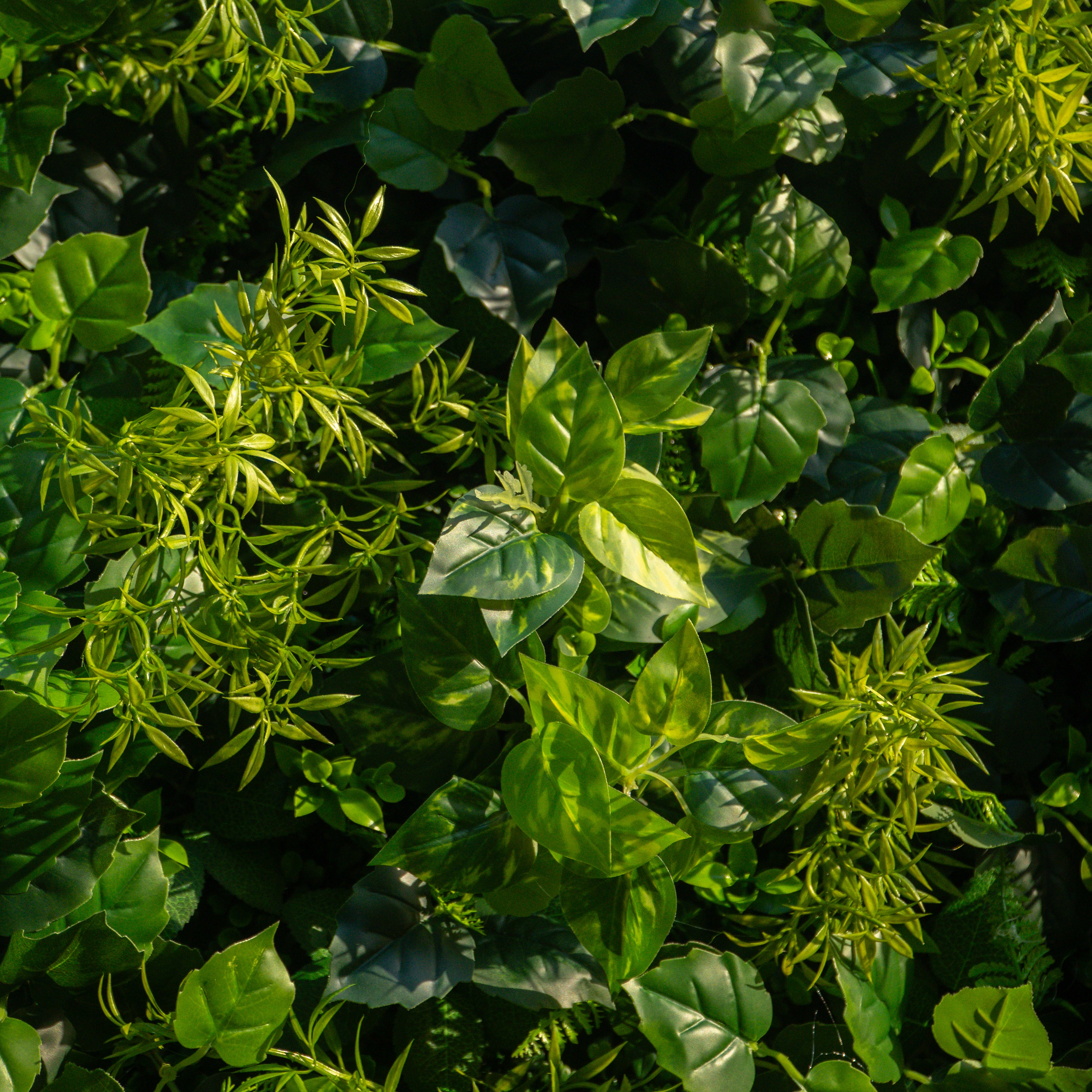 Greenery:3D Fabric Artificial rolling up curtain flower wall 8ft x 8ft for weddings and events decoration (Ready to Ship USA only)