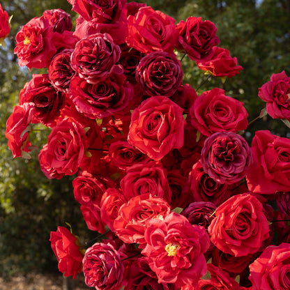 Luna Arch: 2026 New Classic Red Floral Arch Backdrop for Wedding and Event Decoration Including Frame